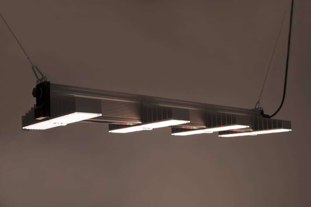 Dachleuchten: Lampe EVO LED 12/24 Gelb 1p